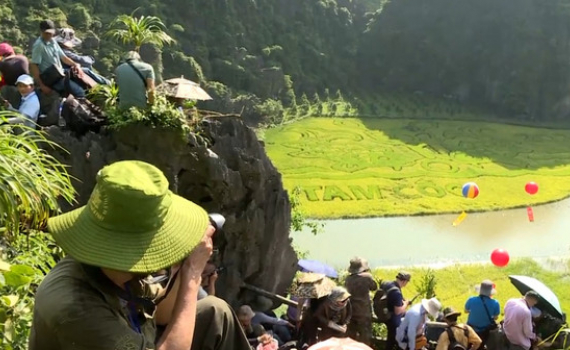 Tour du lịch chụp ảnh M&ugrave;a V&agrave;ng Tam Cốc