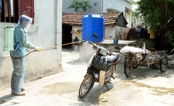Ninh B&igrave;nh tăng cường ph&ograve;ng chống dịch tả lợn ch&acirc;u Phi