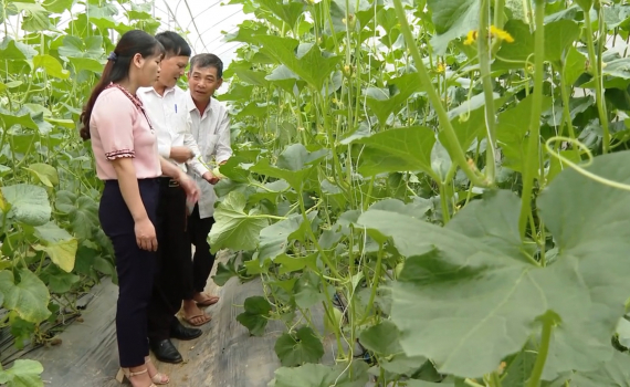 Y&ecirc;n M&ocirc; quan t&acirc;m ph&aacute;t triển n&ocirc;ng nghiệp c&ocirc;ng nghệ cao