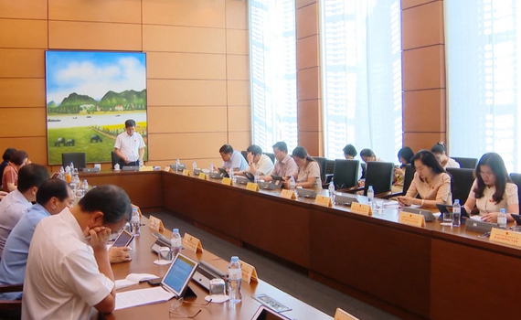 Quốc hội thảo luận ở tổ