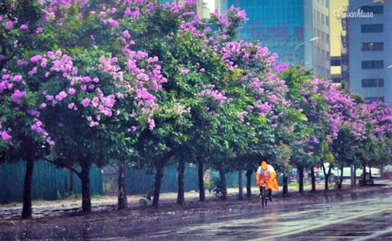 Thời tiết h&ocirc;m nay (3-5): Bắc Bộ v&agrave; nhiều nơi c&oacute; mưa to