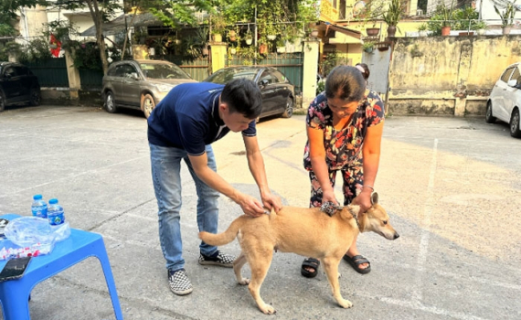 Chủ động khống chế, kh&ocirc;ng để dịch b&ugrave;ng ph&aacute;t