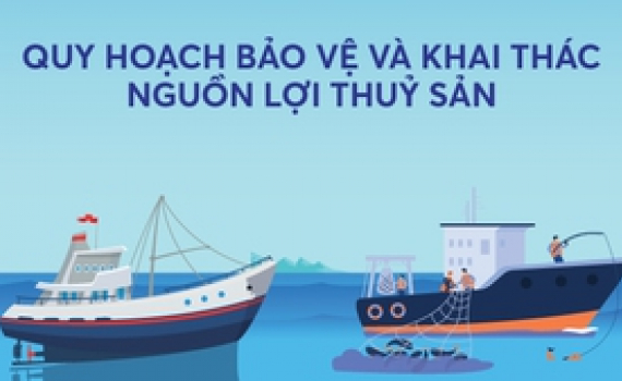 Quy hoạch bảo vệ v&agrave; khai th&aacute;c nguồn lợi thủy sản
