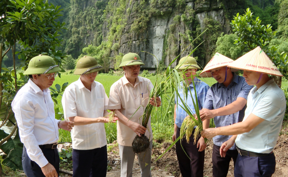 Kiểm tra c&ocirc;ng t&aacute;c chuẩn bị cho Tuần Du lịch Ninh B&igrave;nh năm 2024