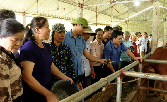 Hội N&ocirc;ng d&acirc;n tỉnh tổ chức cho hội vi&ecirc;n tham quan m&ocirc; h&igrave;nh xử l&yacute; r&aacute;c thải hữu cơ th&acirc;n thiện với m&ocirc;i trường