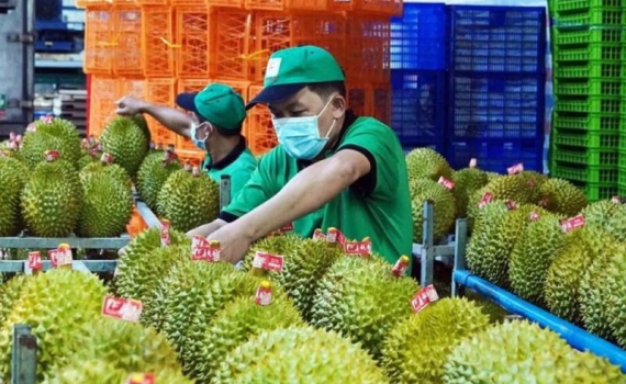 Thủ tướng: X&acirc;y dựng, ph&aacute;t triển thương hiệu quốc gia đối với sầu ri&ecirc;ng