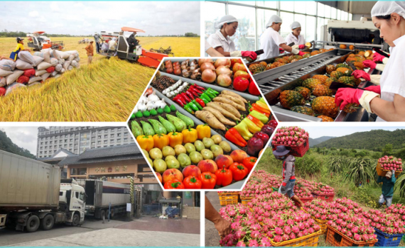 Bảo đảm sản xuất, ti&ecirc;u thụ, xuất khẩu n&ocirc;ng l&acirc;m thủy sản trong bối cảnh biến động thương mại to&agrave;n cầu