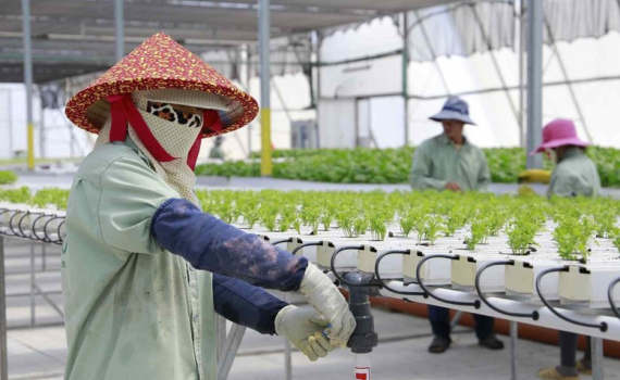 Cảnh gi&aacute;c với th&ocirc;ng tin tuyển lao động đi Israel: Bộ Nội vụ ra khuyến c&aacute;o