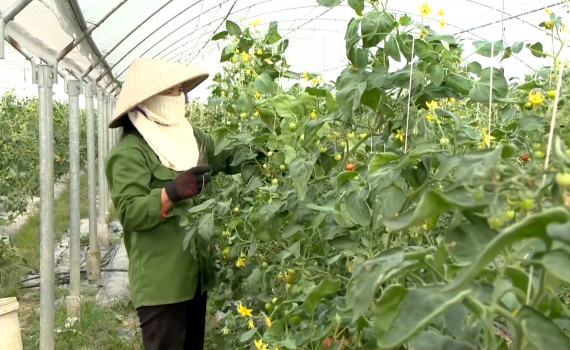 Th&uacute;c đẩy ph&aacute;t triển kinh tế n&ocirc;ng th&ocirc;n từ Chương tr&igrave;nh OCOP 