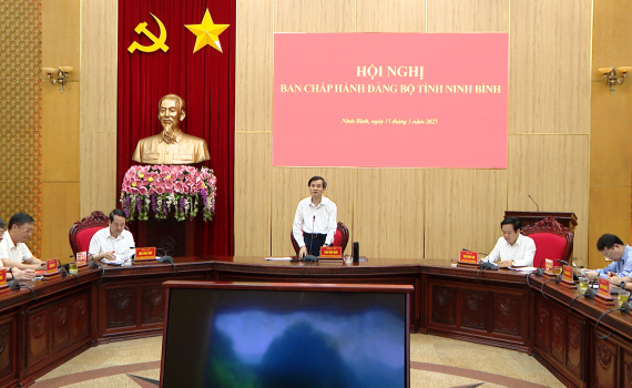 Hội nghị Ban Chấp h&agrave;nh Đảng bộ tỉnh Ninh B&igrave;nh mở rộng