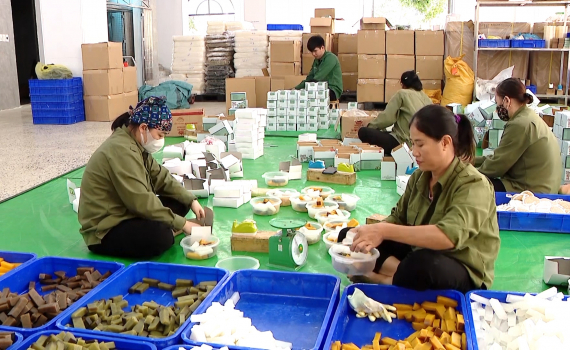Những &ldquo;Ng&ocirc;i sao&rdquo; Hợp t&aacute;c x&atilde;