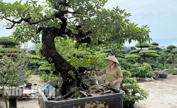 Rực rỡ sắc hoa Nam Điền