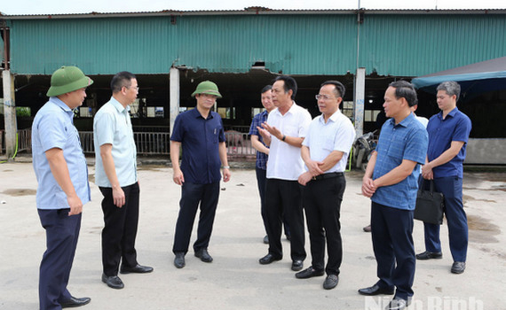 Đồng ch&iacute; Ph&oacute; Chủ tịch UBND tỉnh Trần Anh Dũng kiểm tra hoạt động bu&ocirc;n b&aacute;n, vận chuyển v&agrave; giết mổ gia s&uacute;c, gia cầm tại x&atilde; B&igrave;nh An v&agrave; x&atilde; B&igrave;nh Giang