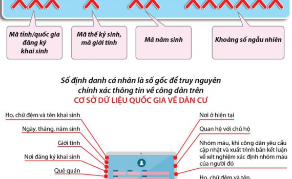 M&atilde; số định danh c&aacute; nh&acirc;n t&iacute;ch hợp những th&ocirc;ng tin g&igrave;?
