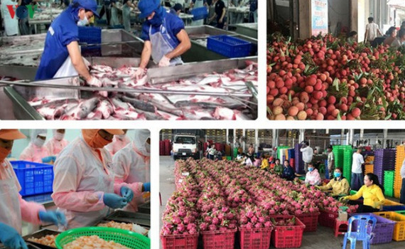 N&ocirc;ng sản Việt phải vượt nhiều r&agrave;o cản để &ldquo;th&ocirc;ng h&agrave;nh&rdquo; v&agrave;o thị trường EU