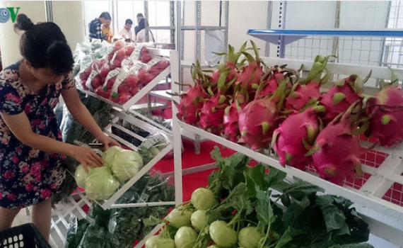 Thực thi EVFTA tạo sức &eacute;p lớn l&ecirc;n thị trường nội địa
