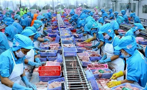 Kh&ocirc;ng để gi&aacute;n đoạn chuỗi sản xuất do kh&oacute; tiếp cận vốn t&iacute;n dụng 