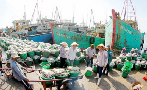 Mong manh mục ti&ecirc;u gỡ thẻ v&agrave;ng IUU! 
