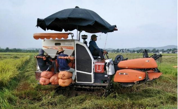 Ng&agrave;nh n&ocirc;ng nghiệp nỗ lực vượt kh&oacute;