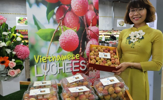 Vải tươi Việt Nam được đấu gi&aacute; l&ecirc;n tới gần 53 triệu đồng/kg tại Australia