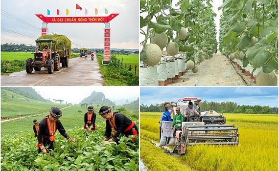 Triển khai quyết liệt c&aacute;c chương tr&igrave;nh mục ti&ecirc;u quốc gia