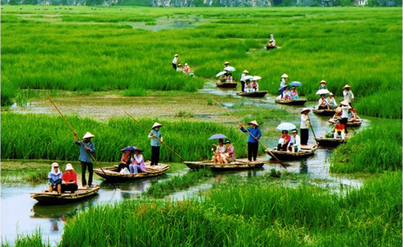 Ph&aacute;t triển trọng t&acirc;m, quảng b&aacute; trọng điểm