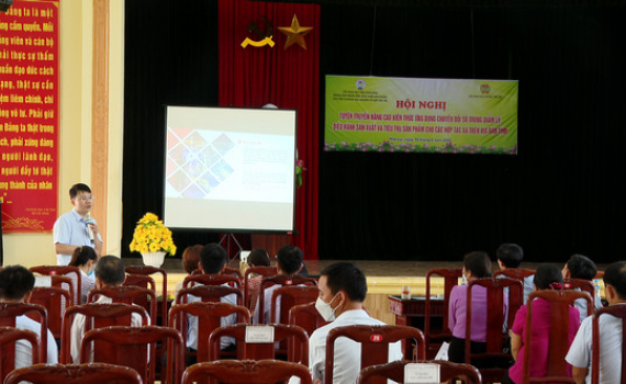 Li&ecirc;n minh HTX tỉnh tuy&ecirc;n truyền n&acirc;ng cao kiến thức về chuyển đổi số cho c&aacute;c HTX