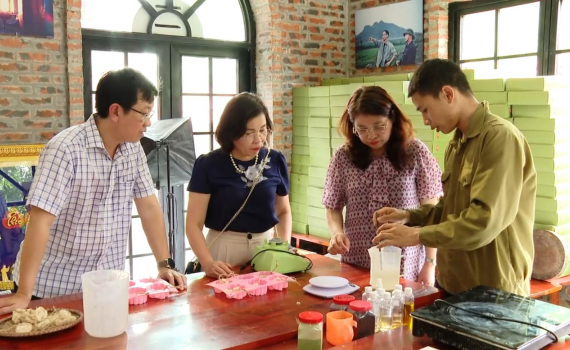 Hỗ trợ c&aacute;c hợp t&aacute;c x&atilde; tham gia ph&aacute;t triển du lịch