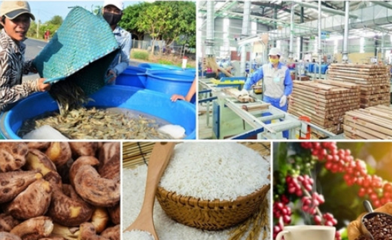 Xuất khẩu n&ocirc;ng sản đ&oacute;n nhiều tin vui