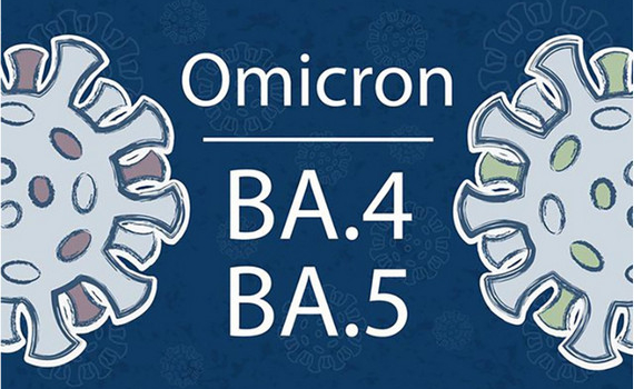 Biến thể phụ BA.5 của Omicron x&acirc;m nhập v&agrave;o nước ta bằng c&aacute;ch n&agrave;o?