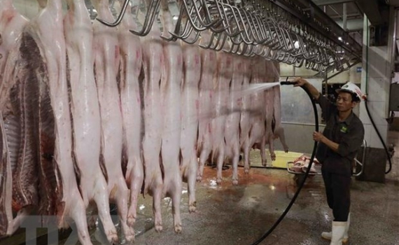 Kiểm so&aacute;t giết mổ động vật: Cần sự v&agrave;o cuộc quyết liệt của ch&iacute;nh quyền địa phương