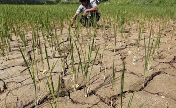 Hiện tượng El Nino đ&atilde; xuất hiện: Hậu quả g&igrave; ph&iacute;a trước?