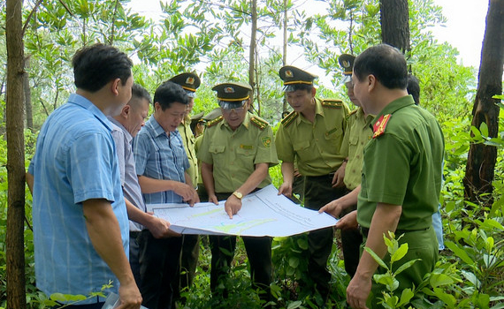 Kiểm tra c&ocirc;ng t&aacute;c ph&ograve;ng ch&aacute;y, chữa ch&aacute;y rừng ở huyện Nho Quan