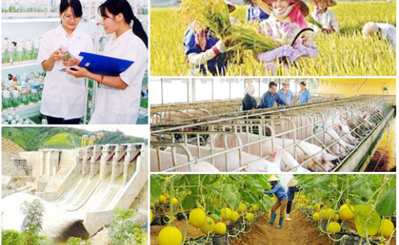 Th&uacute;c đẩy tiến độ giải ng&acirc;n vốn thực hiện c&aacute;c chương tr&igrave;nh mục ti&ecirc;u quốc gia