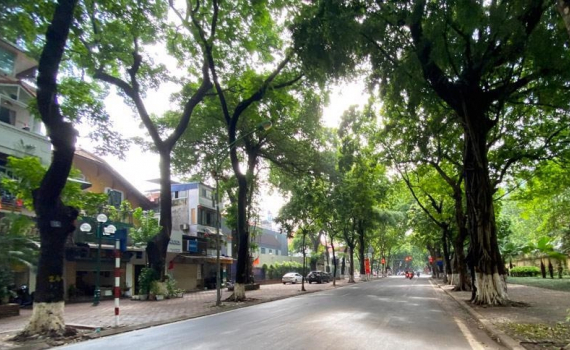 Thời tiết h&ocirc;m nay (24-6): H&agrave; Nội mưa d&ocirc;ng, trời m&aacute;t