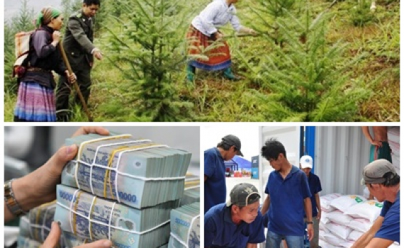 Chỉ đạo, điều h&agrave;nh của Ch&iacute;nh phủ, Thủ tướng Ch&iacute;nh phủ nổi bật tuần từ 27-31/5/2024