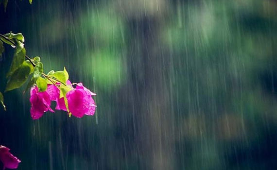 Thời tiết h&ocirc;m nay (5-6): Mưa d&ocirc;ng tại nhiều tỉnh, th&agrave;nh tr&ecirc;n cả nước
