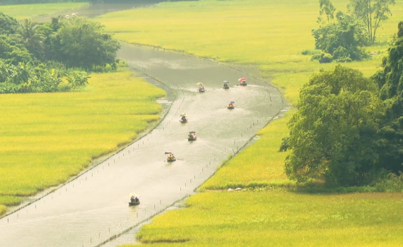 Tam cốc m&ugrave;a l&uacute;a ch&iacute;n