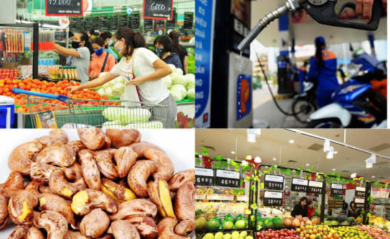Thủ tướng chỉ đạo tăng cường c&aacute;c biện ph&aacute;p quản l&yacute;, điều h&agrave;nh gi&aacute;