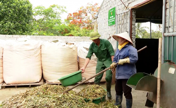 N&ocirc;ng d&acirc;n Nho Quan xử l&yacute; r&aacute;c thải bảo vệ m&ocirc;i trường