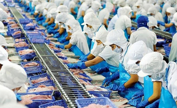 Ng&agrave;nh thủy sản hướng tới mục ti&ecirc;u xuất khẩu 10 tỷ USD