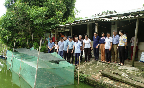 Tham quan m&ocirc; h&igrave;nh xử l&yacute; r&aacute;c thải hữu cơ th&acirc;n thiện với m&ocirc;i trường tại huyện Y&ecirc;n Kh&aacute;nh
