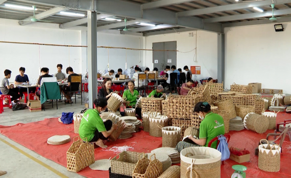 Đưa sản phẩm c&oacute;i Kim Sơn vươn tầm thế giới