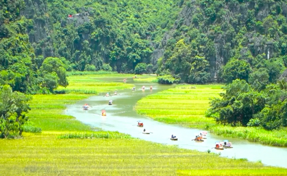Sức h&uacute;t của m&ugrave;a v&agrave;ng Tam Cốc