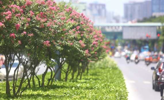 Thời tiết h&ocirc;m nay (8-6): Miền Bắc ng&agrave;y nắng n&oacute;ng, đ&ecirc;m mưa d&ocirc;ng