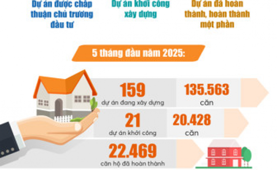 Infographics: Kết quả thực hiện triển khai dự &aacute;n nh&agrave; ở x&atilde; hội