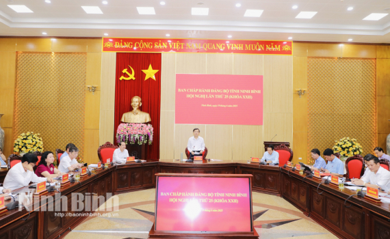 Hội nghị Ban Chấp h&agrave;nh Đảng bộ tỉnh lần thứ 25