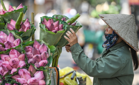 Thời tiết h&ocirc;m nay (15-6): Miền Bắc ng&agrave;y nắng n&oacute;ng gay gắt, chiều tối đ&oacute;n mưa d&ocirc;ng