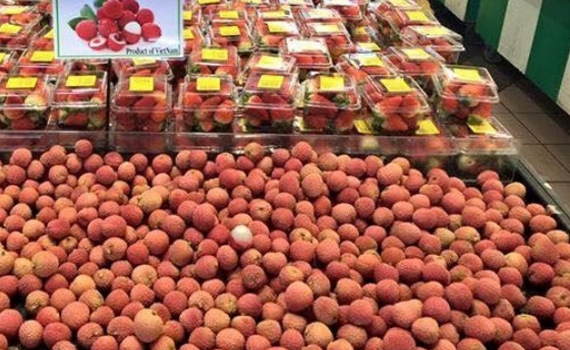Bảo hộ nh&atilde;n hiệu ở nước ngo&agrave;i: Kh&ocirc;ng để doanh nghiệp ch&ocirc;ng ch&ecirc;nh