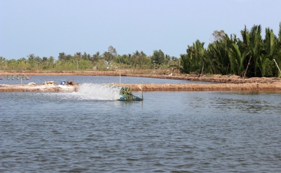 Tập trung chỉ đạo ph&aacute;t triển sản xuất, chăn nu&ocirc;i những th&aacute;ng cuối năm